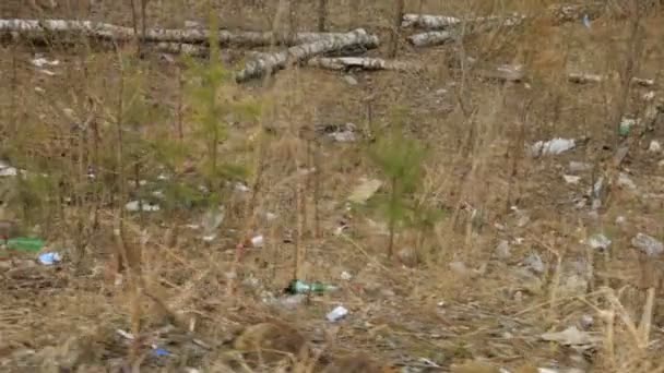 Basura Zona Forestal Primavera — Vídeo de stock