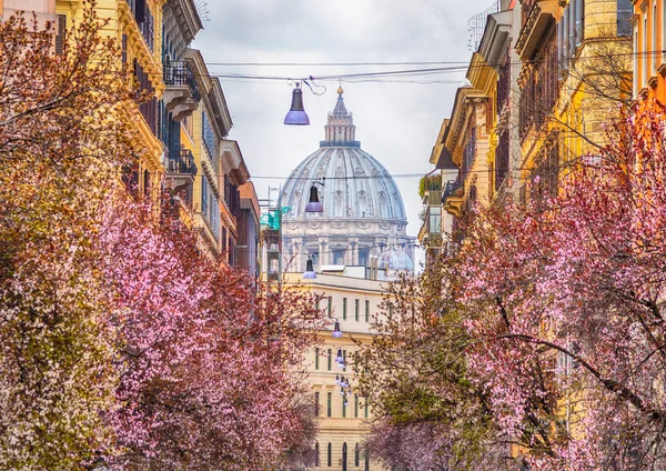 Вид на Фелику Святого Петра, Италия — стоковое фото