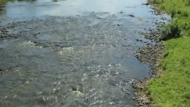 Rivière rapide en été