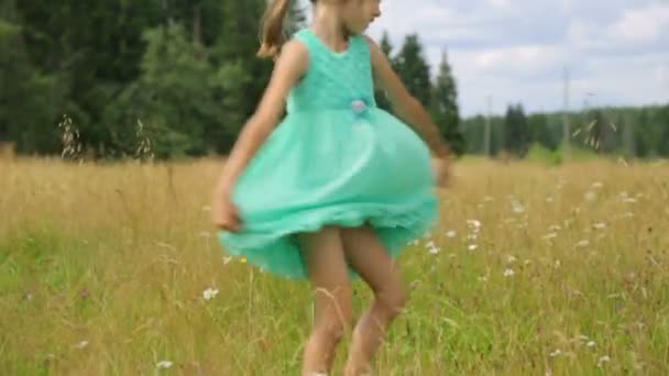 Little girl on field in summer — Stock Video