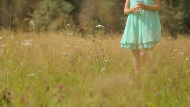 Little girl on field in summer — Stock Video