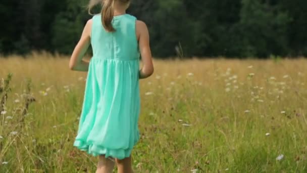 Liten flicka på fältet på sommaren — Stockvideo