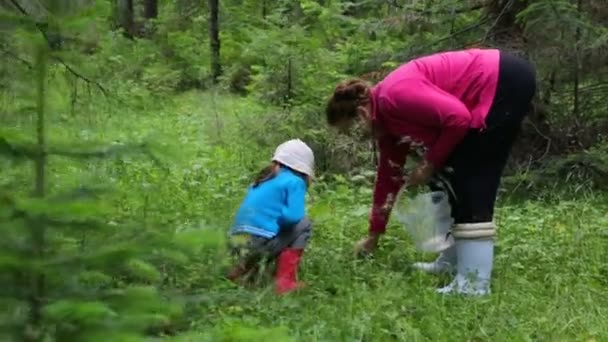 Женщина с маленькой девочкой в лесу — стоковое видео