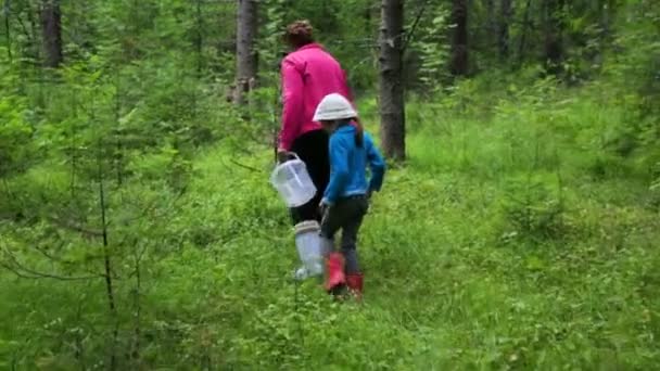 Kvinna med liten flicka promenader i skogen — Stockvideo