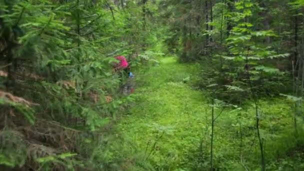 Kvinna med liten flicka i skogen — Stockvideo