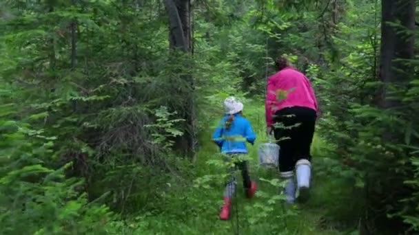 Женщина с маленькой девочкой гуляют в лесу — стоковое видео