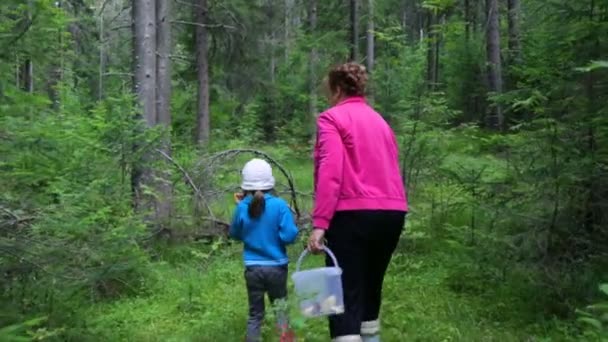 Kvinna med liten flicka promenader i skogen — Stockvideo