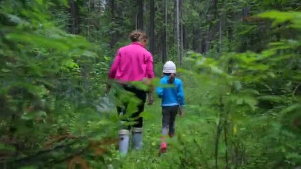 Kvinna med liten flicka promenader i skogen — Stockvideo