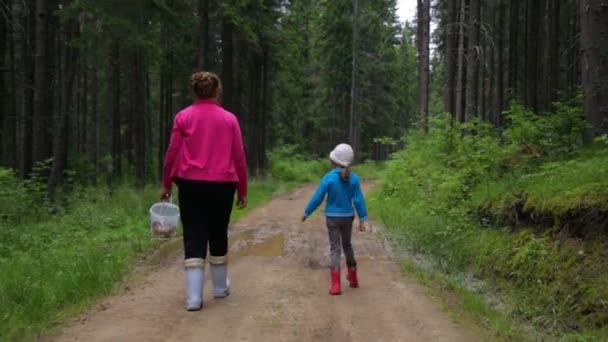 Kvinna med liten flicka promenader i skogen — Stockvideo