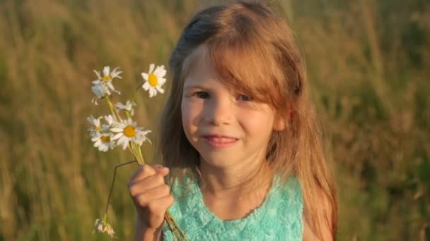 Pequeña niña con flores de camomilo por la luz del sol. — Vídeos de Stock