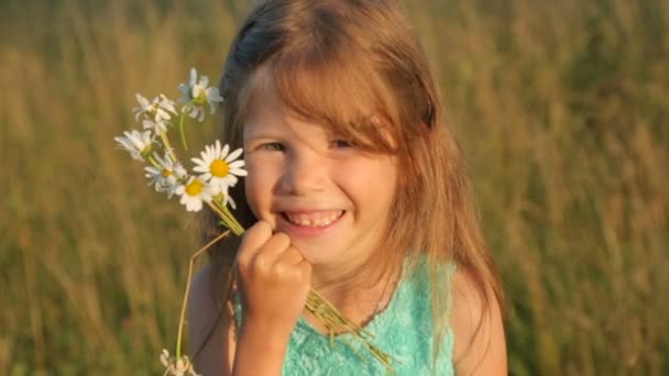 Pequeña niña con flores de camomilo por la luz del sol. — Vídeos de Stock