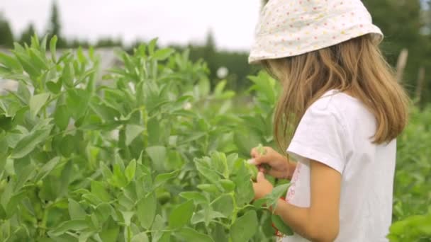 Девочка ест фасоль в саду — стоковое видео