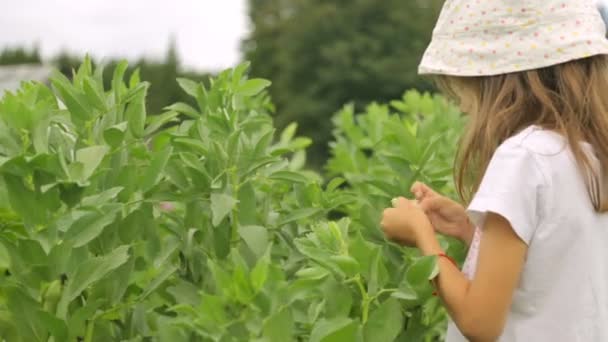 Meisje eet bonen in de tuin — Stockvideo