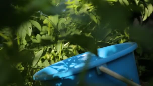 Mujer bebiendo frijoles en el jardín — Vídeo de stock