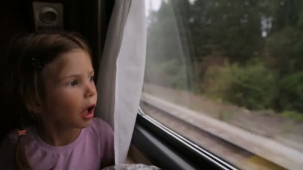 電車の中で窓を通して見ている女の子 — ストック動画