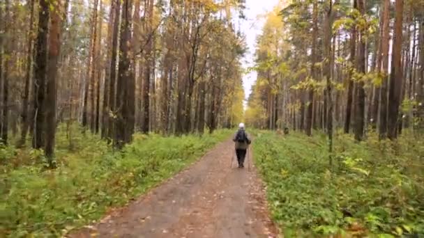 Caminhar ao longo de um caminho no parque — Vídeo de Stock