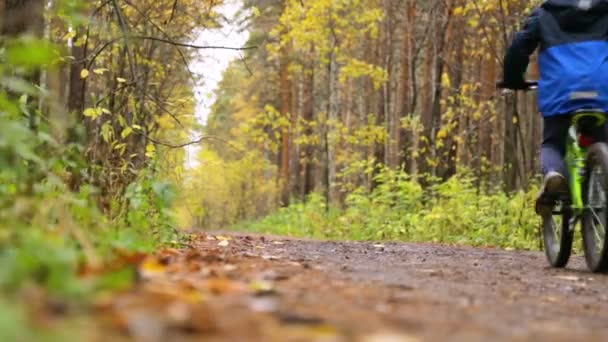 Las personas que montan bicicletas en otoño en el parque — Vídeos de Stock