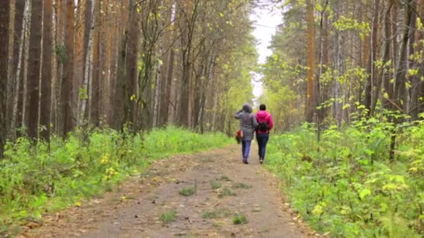 Menschen im Herbstpark — Stockvideo