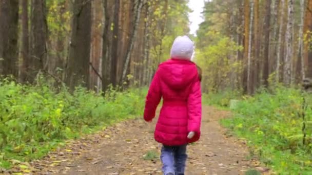 Liten flicka går längs en stig i parken — Stockvideo