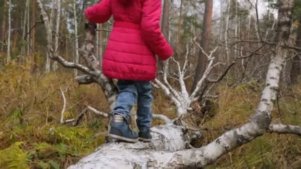 Menina na floresta de outono — Vídeo de Stock