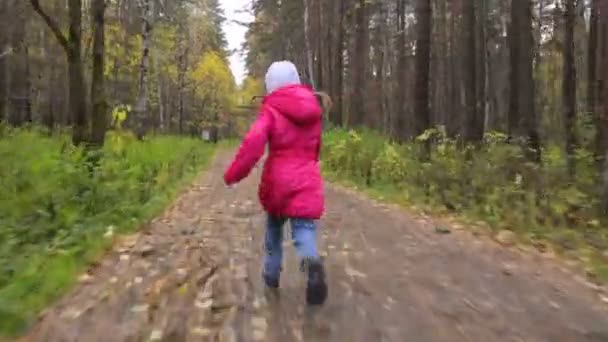 Kleines Mädchen läuft in Herbstpark — Stockvideo