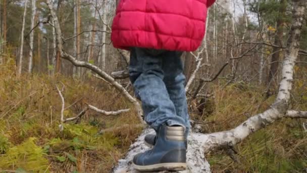 Little girl in autumn forest — Stock Video