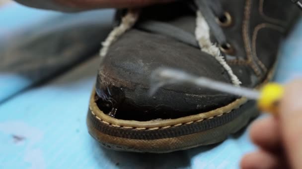 Shoemaker coller une vieille chaussure — Video