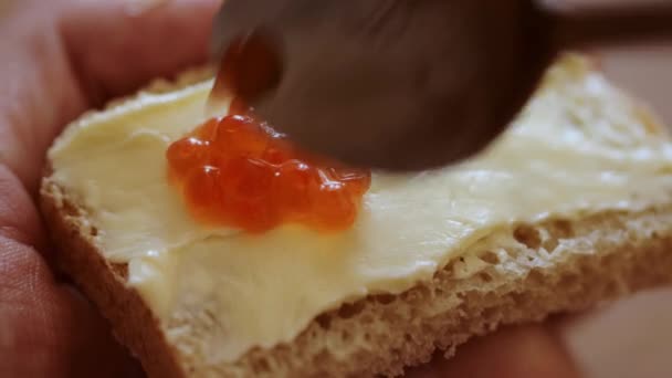 Poner caviar rojo en el pan con mantequilla — Vídeos de Stock