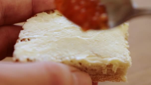 在面包上涂上奶油的红鱼子酱 — 图库视频影像