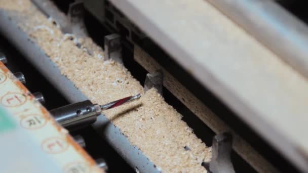 Processen med borrhål i en möbelbräda — Stockvideo