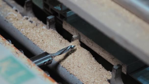 Processus de perçage des trous dans un panneau de meubles — Video