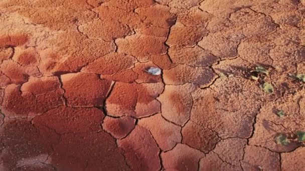 Superfície seca e rachada do solo argiloso — Vídeo de Stock