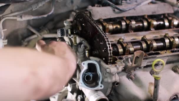 Mechanik samochodowy pracujący w centrum serwisowym — Wideo stockowe