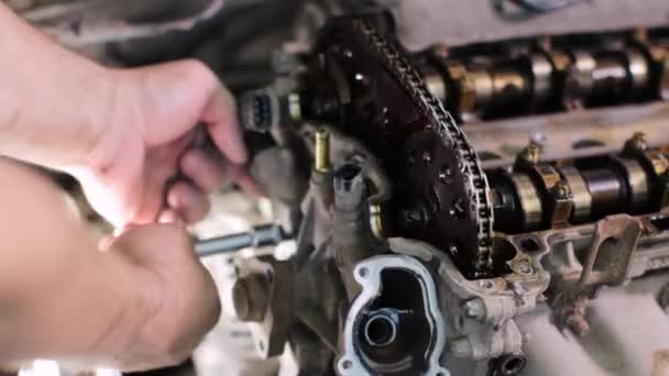 Mécanicien automobile travaillant dans le centre de service — Video