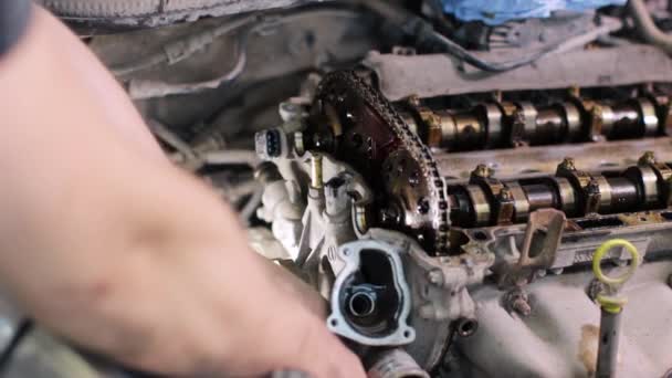 Mécanicien automobile travaillant dans le centre de service — Video