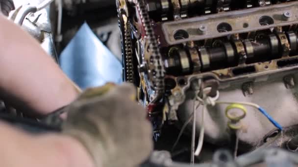 Mécanicien automobile travaillant dans le centre de service — Video