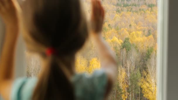 Meisje kijkt door het raam in het herfstbos — Stockvideo