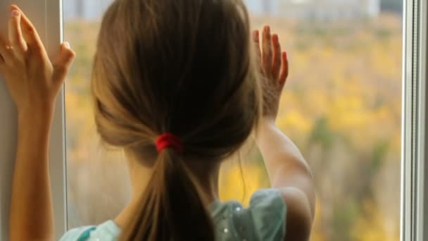 Niña mirando a través de la ventana en el bosque de otoño — Vídeo de stock