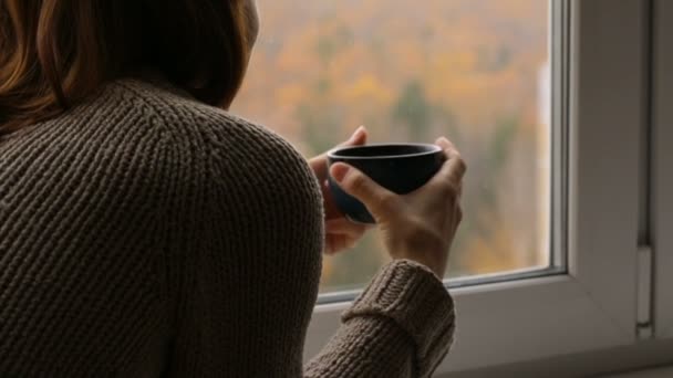 Mujer bebiendo té en la ventana — Vídeos de Stock