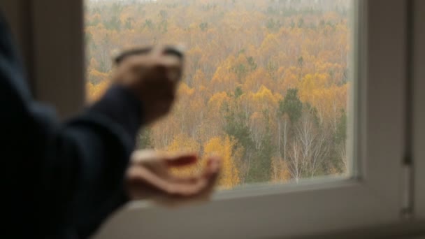 Hombre bebiendo té en la ventana — Vídeos de Stock