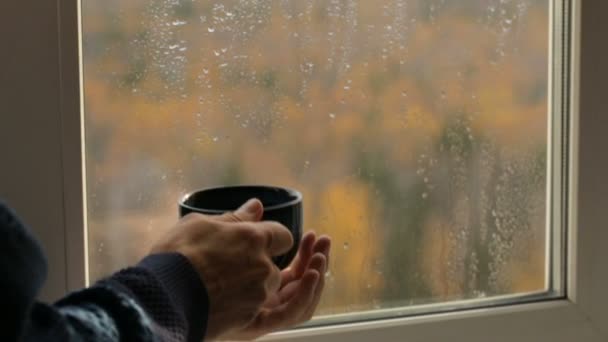 Hombre bebiendo té en la ventana — Vídeos de Stock
