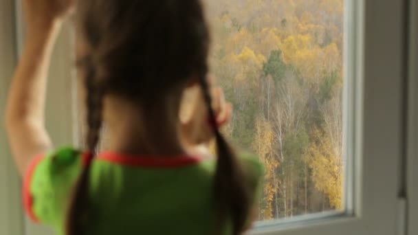 Niña mirando a través de la ventana en el bosque de otoño — Vídeos de Stock