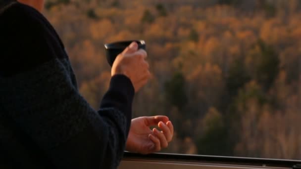 Человек пьет чай у окна — стоковое видео