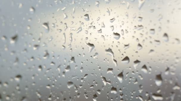 Raindrops on glass in closeup — Stock Video