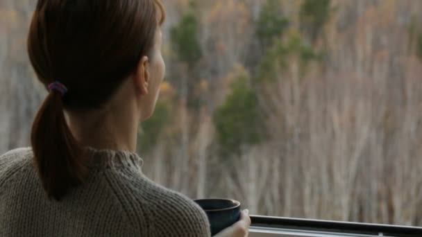 Vrouw die thee drinkt bij het raam — Stockvideo