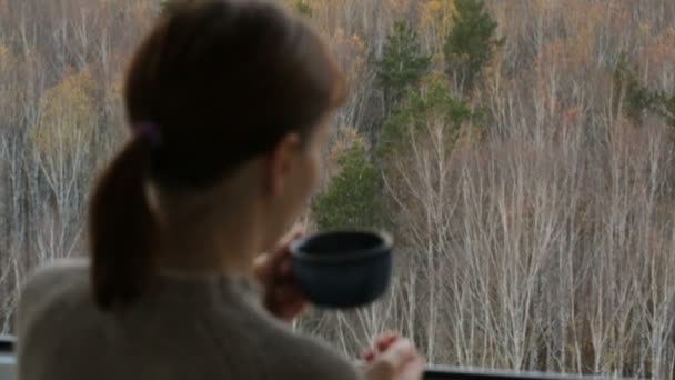 Žena pije čaj u okna — Stock video