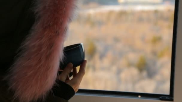 Mujer bebiendo té en la ventana — Vídeos de Stock