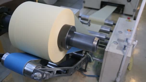 Na fábrica de fabricação de papel — Vídeo de Stock