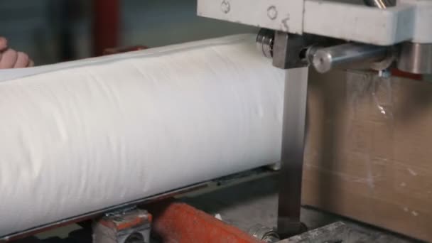 At paper manufacturing factory — Stock Video