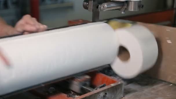 Σε εργοστάσιο παραγωγής χαρτιού — Αρχείο Βίντεο